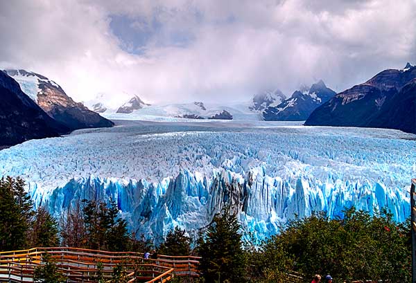 El calafate in patagonia argentina