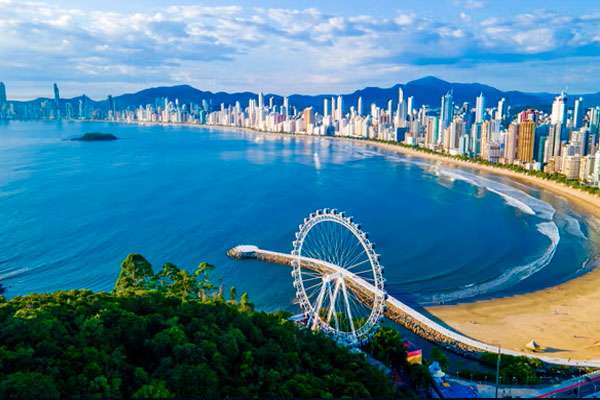 Pingüinos en la Antártida vistos desde el Norwegian Star