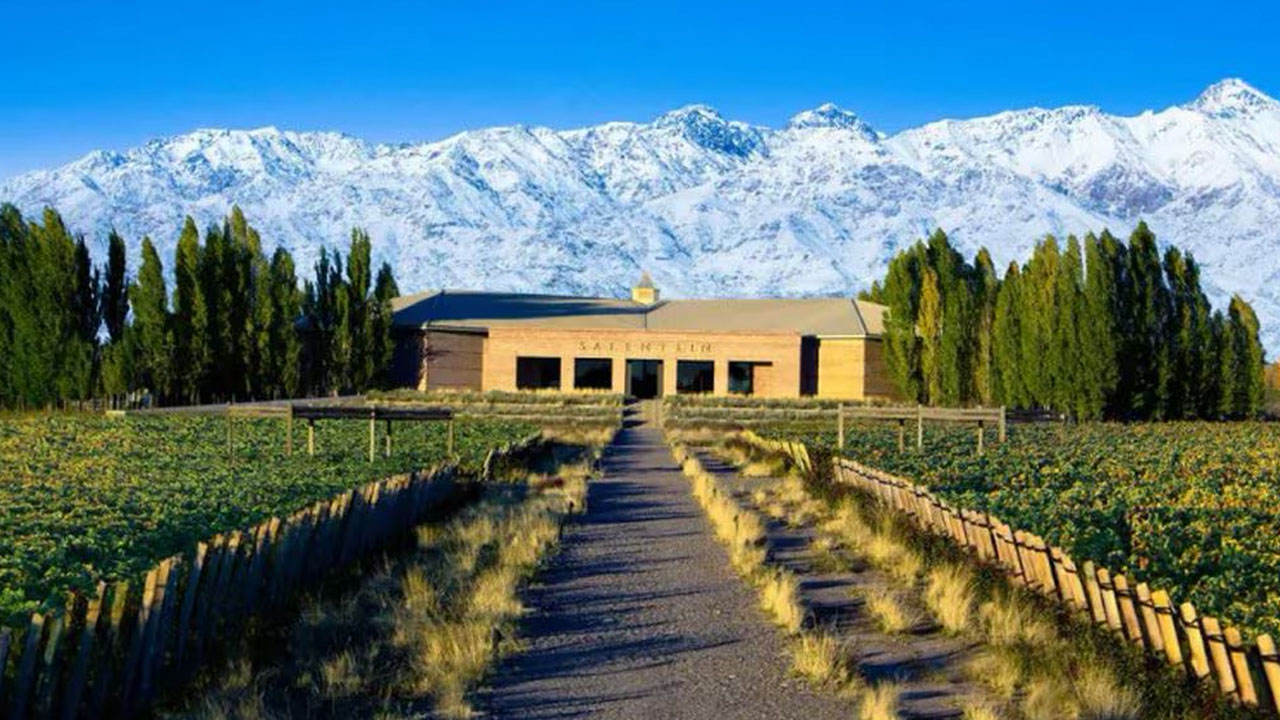 3 Embárcate en un viaje inolvidable a Mendoza, donde el sol brilla, los vinos fluyen y las montañas te esperan.
