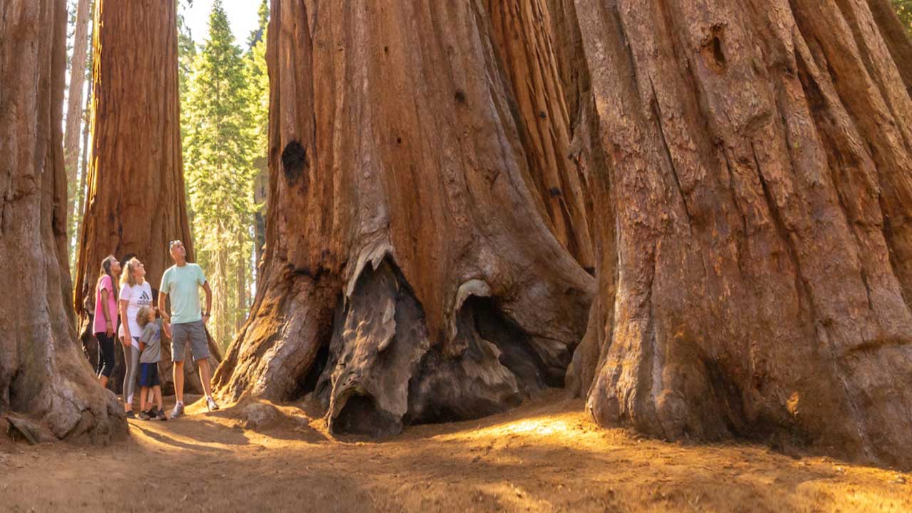 5 Embárcate en una emocionante travesía desde Los Ángeles hasta San Francisco, explorando lugares icónicos